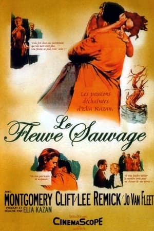 Le Fleuve sauvage