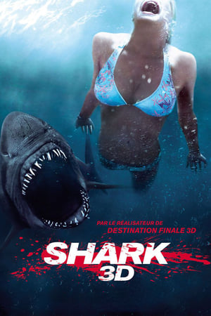 Shark 3D
