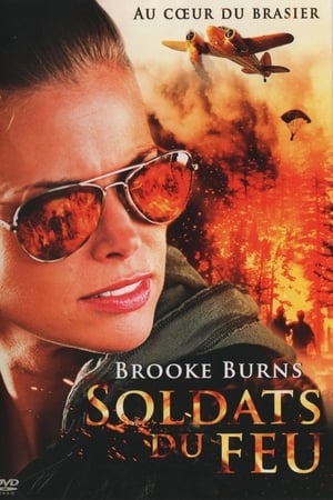 Soldats du feu