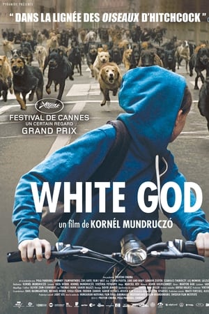 White God